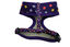 Gotoo - Ensemble Bleu Funny Géométrique pour Chien Indicateur image numéro 5