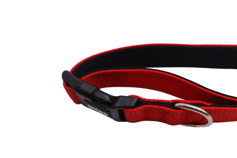 Gotoo - Collier Essentials en Nylon Premium Rouge pour Chien - XS Image numéro 2 Gotoo - Collier Essentials en Nylon Premium Rouge pour Chien - XS Image numéro 2