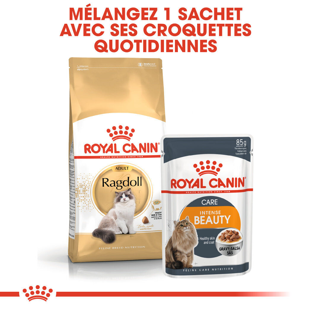 Royal Canin - Croquettes Ragdoll Adult pour Chat - 2Kg Image num&eacute;ro 5