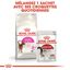 Royal Canin - Croquettes Aroma Exigent pour Chat - 2Kg Indicateur image numéro 6