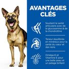 Hill's Science Plan - Croquettes Active Longevity Large Mature 5+ Poulet pour Chien - 18Kg image number null