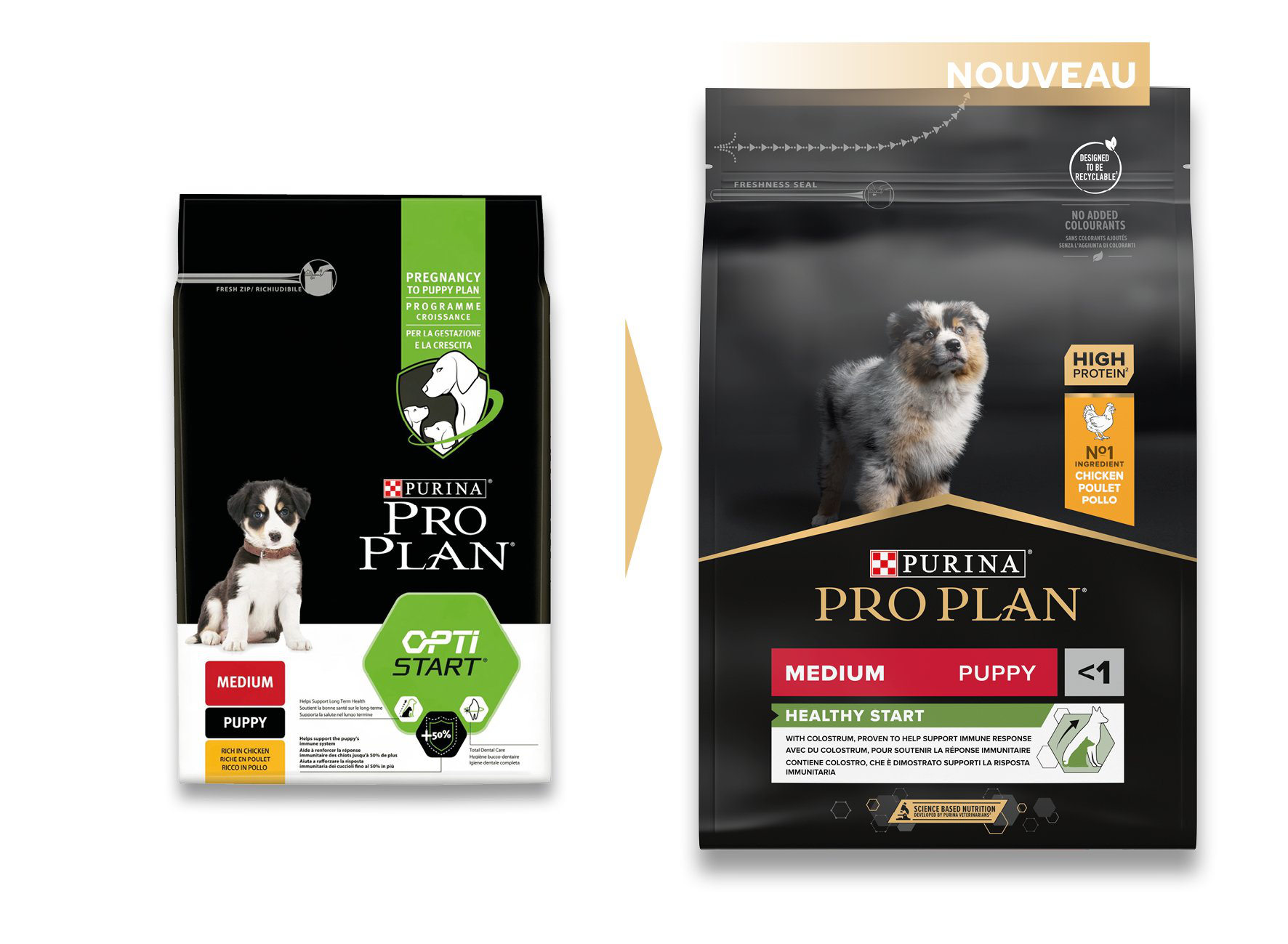 Pro Plan - Croquettes HEALTHY START Medium Poulet pour Chiots - 3Kg Image num&eacute;ro 2