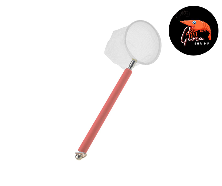 Gioiashrimp - Epuisette Réglable pour Crevette Image numéro 1 Gioiashrimp - Epuisette Réglable pour Crevette Image numéro 1
