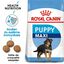 Royal Canin - Croquettes Maxi Puppy pour Chiot - 4Kg Indicateur image numéro 1