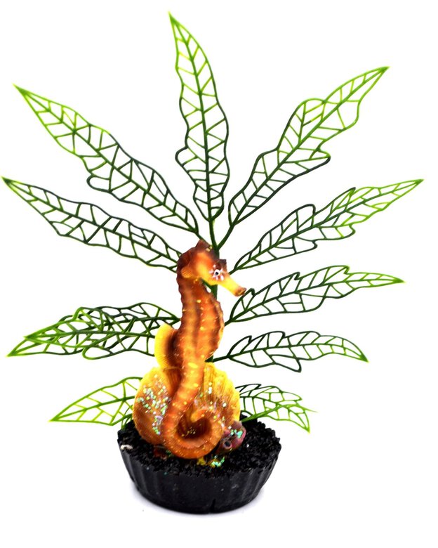 Labeo - Plante de Décoration avec Hippocampe Coloré pour Aquarium Image numéro 1 Labeo - Plante de Décoration avec Hippocampe Coloré pour Aquarium Image numéro 1