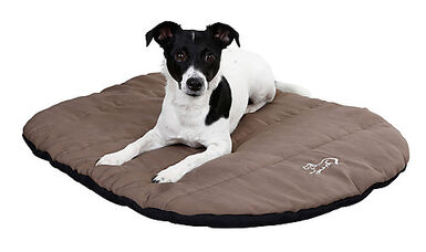 Kerbl - Coussin Traveller pour Chien - Taupe