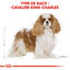 Royal Canin - Croquettes Cavalier King Charles Adult - 1,5Kg Indicateur image numéro 5