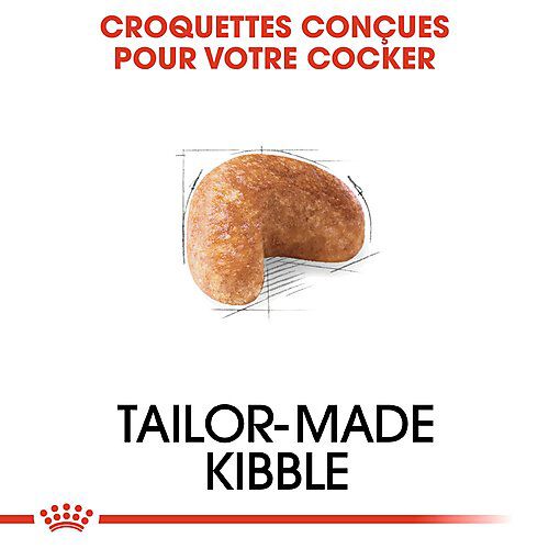 Royal Canin - Croquettes Cocker pour Chien Adulte - 12Kg Image num&eacute;ro 4
