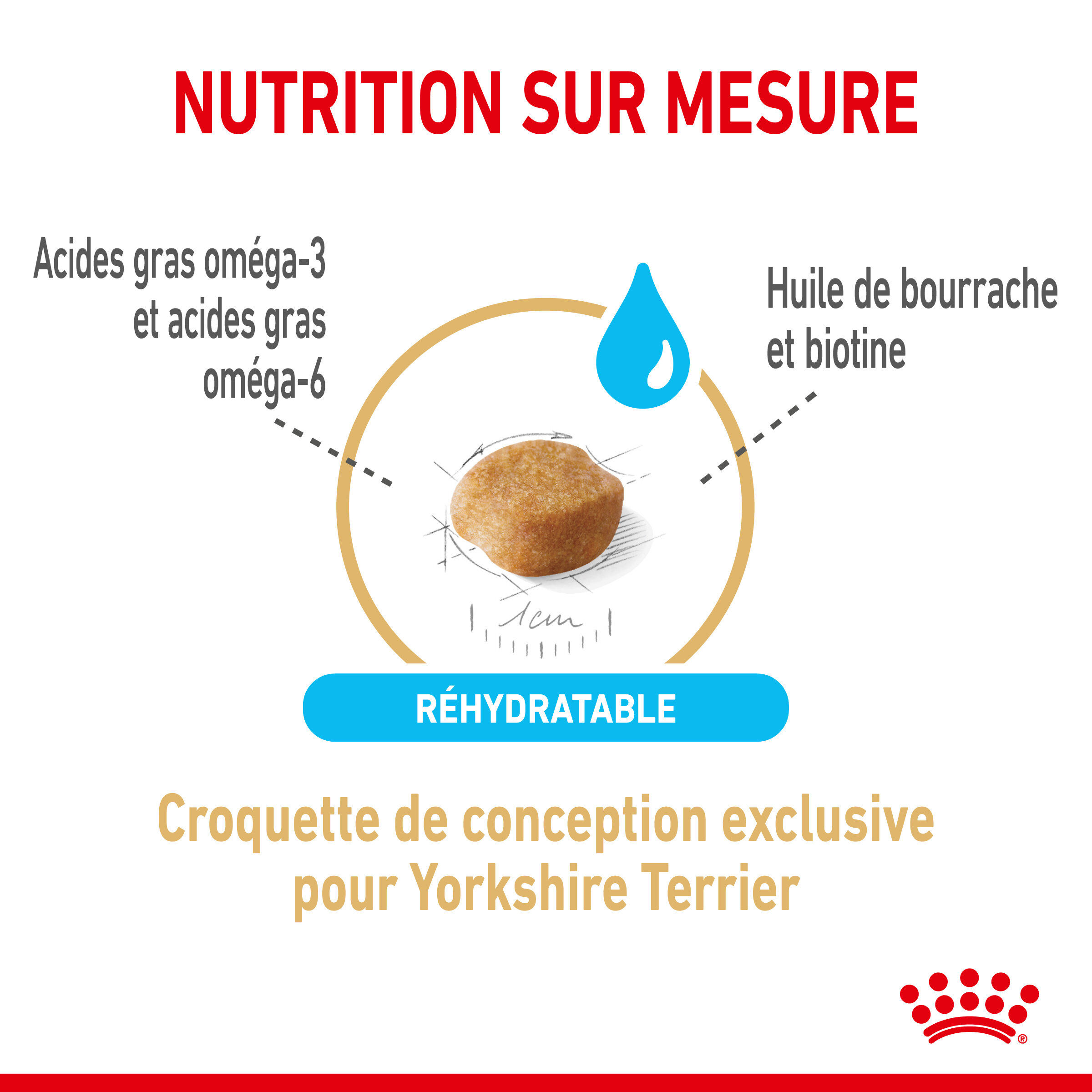 Royal Canin - Croquettes Yorkshire Terrier Adult 8+ pour Chiens Seniors - 1,5Kg Image num&eacute;ro 3
