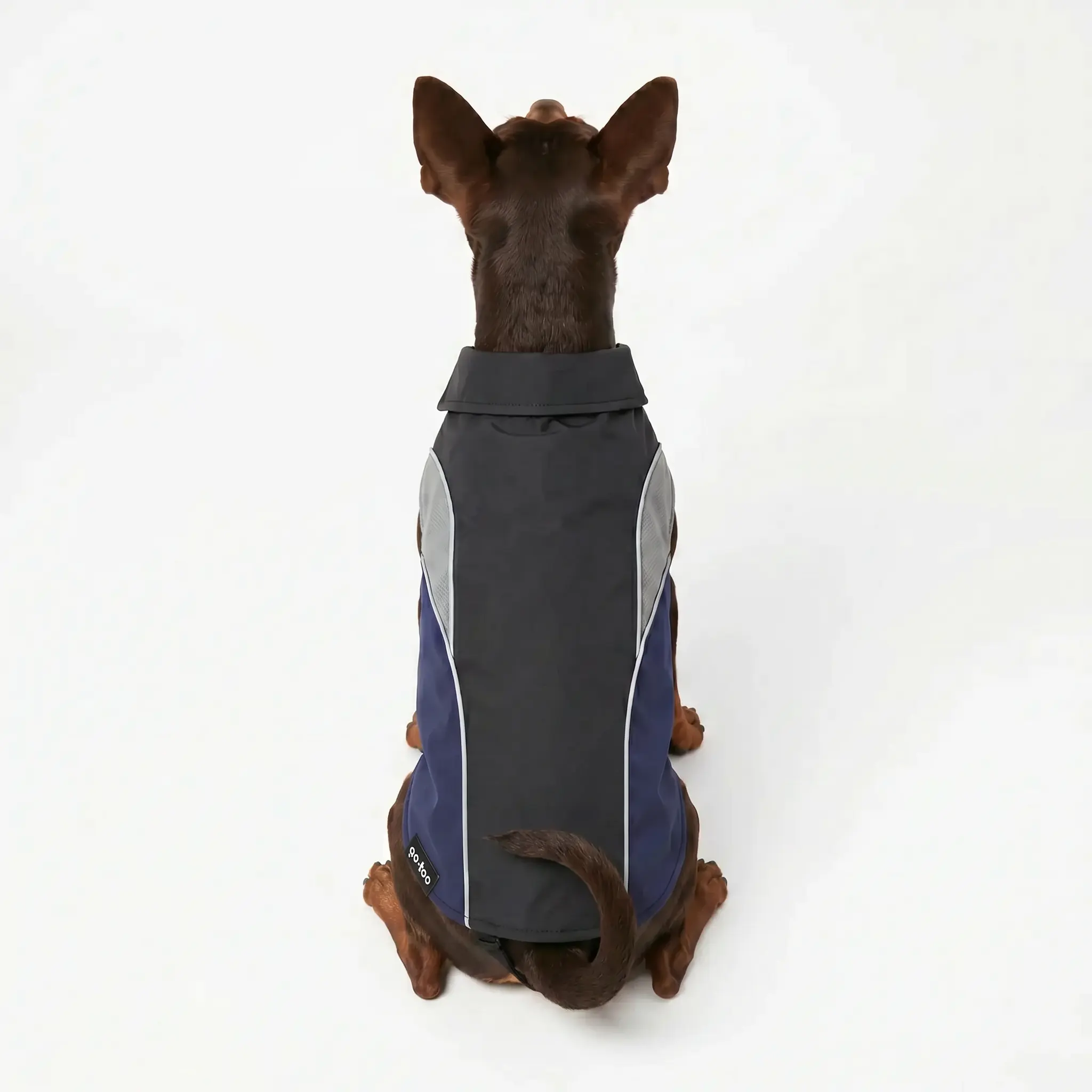 Gotoo - Manteau Imperm&eacute;able Bleu pour Chiens - 40cm Image num&eacute;ro 5