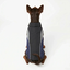 Gotoo - Manteau Imperm&eacute;able Bleu pour Chiens - 40cm Indicateur image num&eacute;ro 5