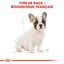 Royal Canin - Croquettes Bouledogue Français Junior pour Chiot - 10Kg Indicateur image numéro 6