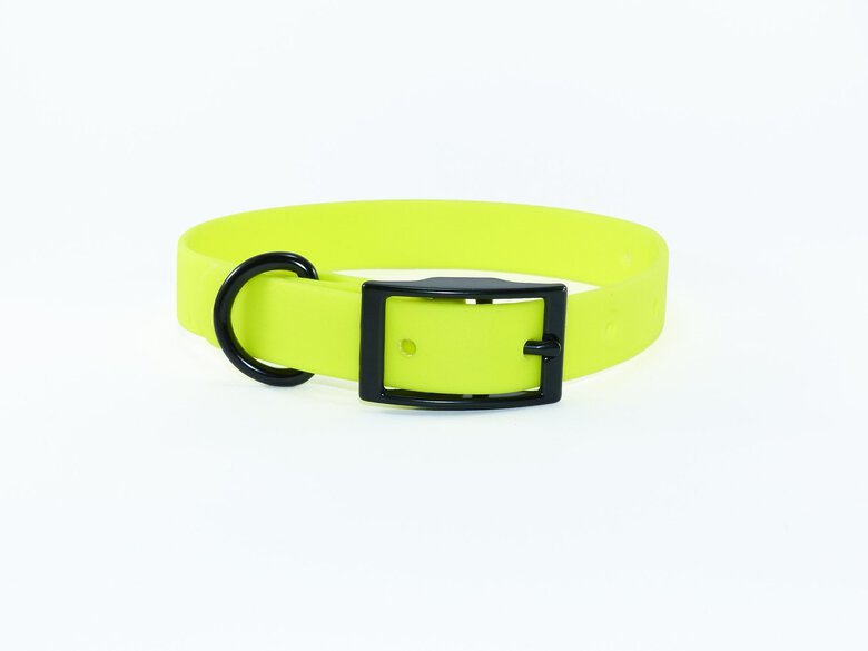 Ekys - Collier Biothane 18mm pour Chien - Jaune Image numéro 1 Ekys - Collier Biothane 18mm pour Chien - Jaune Image numéro 1