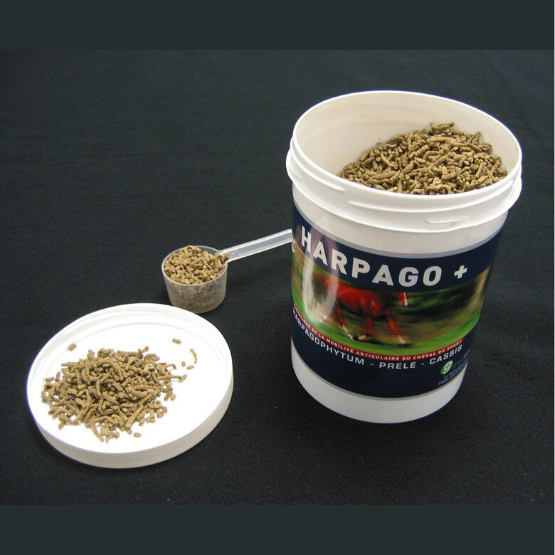 Greenpex - Seau HARPAGO + Soins pour Chevaux - 4,5Kg Image numéro 1 Greenpex - Seau HARPAGO + Soins pour Chevaux - 4,5Kg Image numéro 1