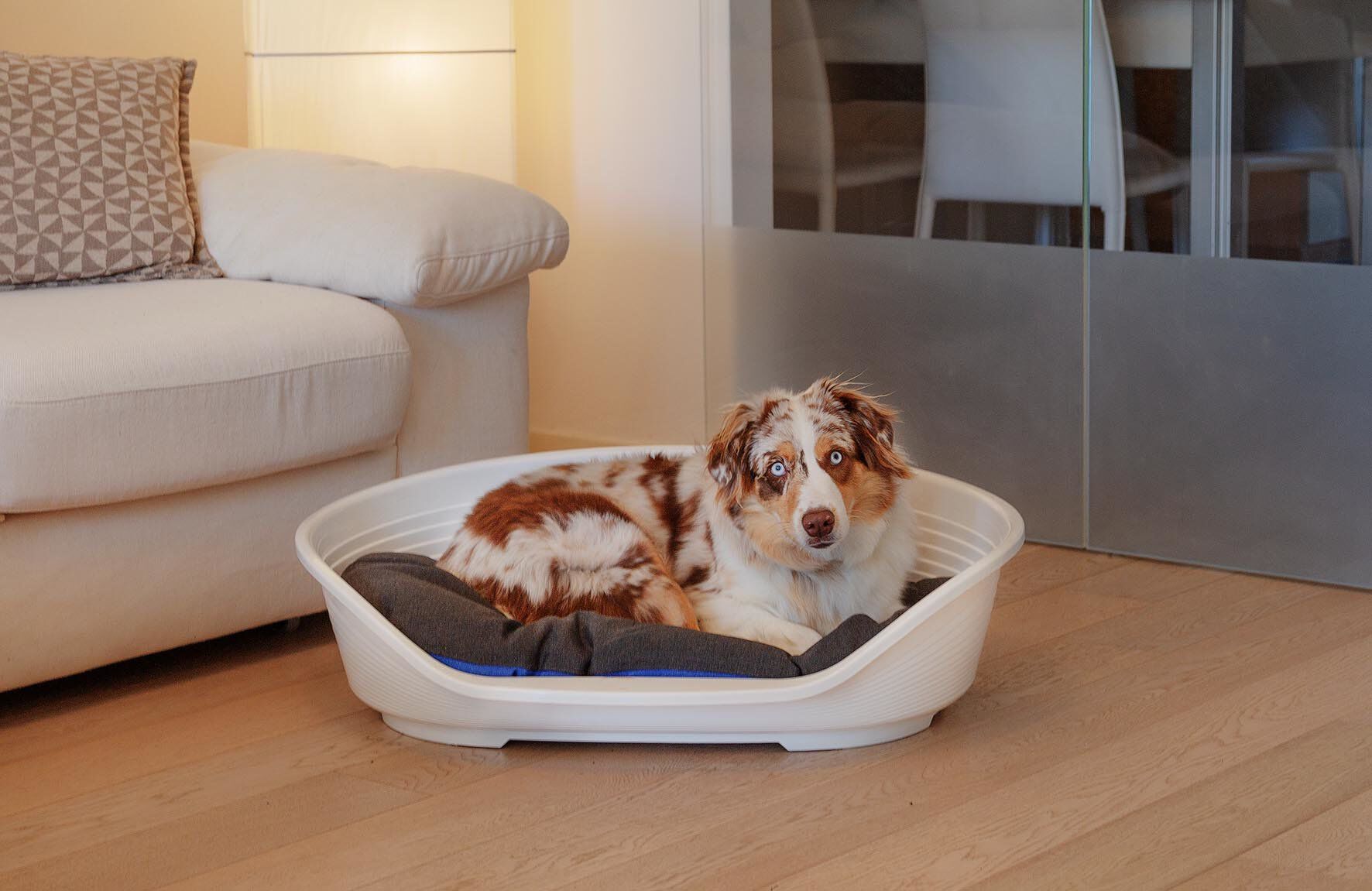 Ferplast - Corbeille Siesta Deluxe 8 Bordeaux pour Chiens Image num&eacute;ro 6