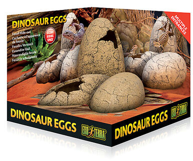 Exo Terra - Décoration ¼ufs de Dinosaure pour Terrarium