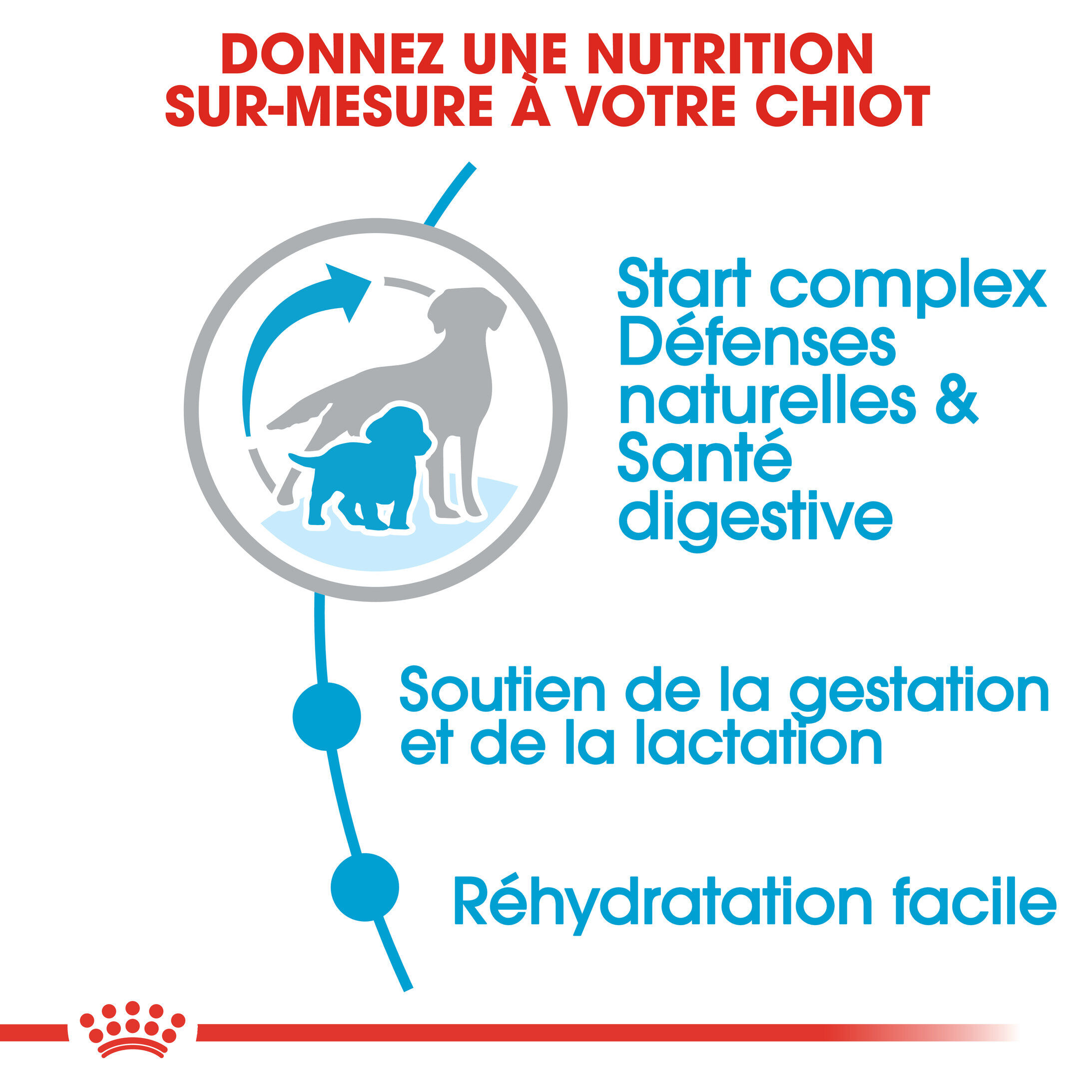 Royal Canin - Croquettes Starter Mother & Babydog Medium pour Chiennes et Chiots - 4KG Image num&eacute;ro 3