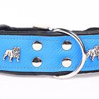 Yogipet - Collier Super Bulldog Cuir T55 45/53cm pour Chien - Bleu image number null