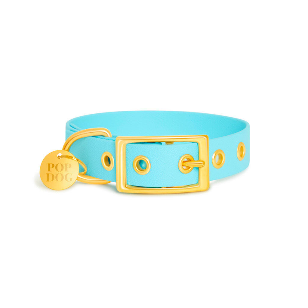 Pop Dog - Collier A  1/4 Illet Dragueur Bleu pour Chien - XS Image num&eacute;ro 2