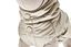 Ferribiella - Doudoune Cristallo Beige pour Chiens - 43cm Indicateur image numéro 7