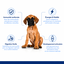 Nath - Croquettes pour Chiot Giant - 12Kg Indicateur image num&eacute;ro 3