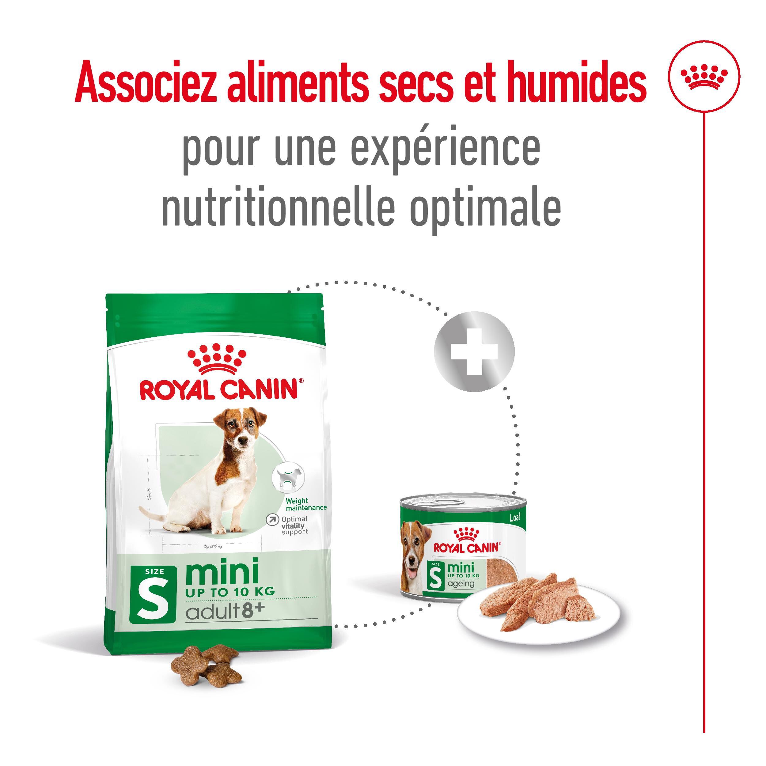 Royal Canin - Croquettes Mini 8+ pour Chien Adulte - 4Kg Image num&eacute;ro 5