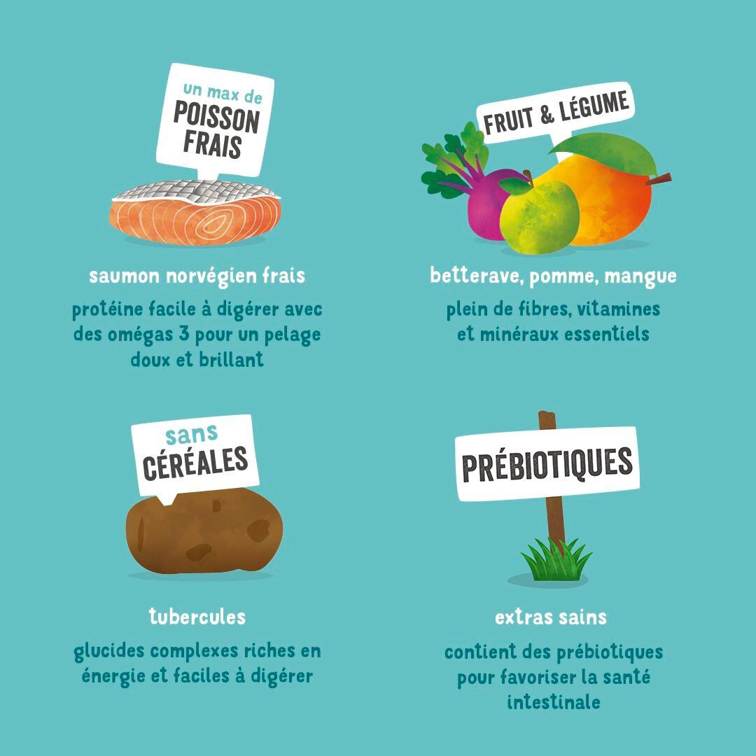 Edgard & Cooper - Croquettes au Saumon pour Chien - 700g Image num&eacute;ro 5