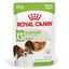 Royal Canin - Sachets Humides en Sauce X-Small Adult - 12x85g Indicateur image numéro 1