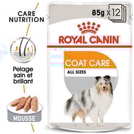 Royal Canin -  Pâtée en mousse COAT CARE MOUSSE pour chiens de toutes tailles - 12x85g