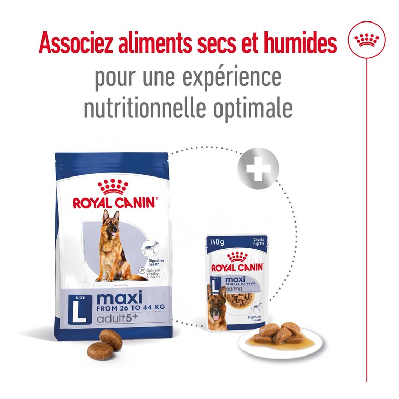 Royal Canin - Croquettes Maxi Adulte 5+ pour Chien Adulte - 15Kg Image numéro 8 Royal Canin - Croquettes Maxi Adulte 5+ pour Chien Adulte - 15Kg Image numéro 8