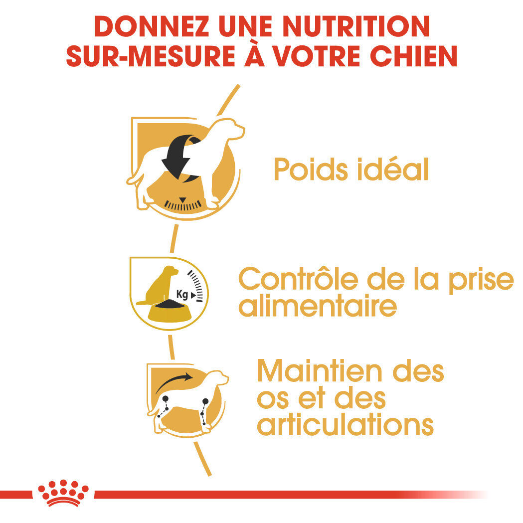 Royal Canin - Croquettes Beagle Adult pour Chien - 12Kg Image num&eacute;ro 4