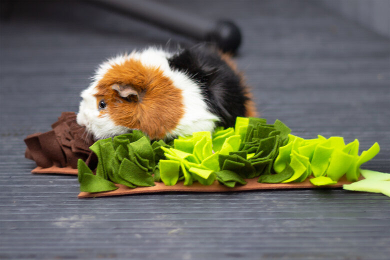 Rosewood - Tapis de Fourrage Tree Snuffle pour Rongeur - 48cm Image numéro 3 Rosewood - Tapis de Fourrage Tree Snuffle pour Rongeur - 48cm Image numéro 3