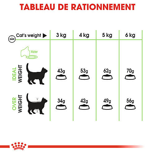 Royal Canin - Croquettes Digestive Care pour Chat - 10Kg Image num&eacute;ro 3