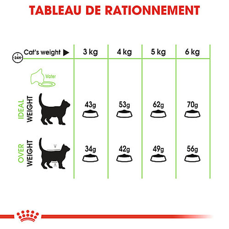 Royal Canin - Croquettes Digestive Care pour Chat - 10Kg Image numéro 3 Royal Canin - Croquettes Digestive Care pour Chat - 10Kg Image numéro 3