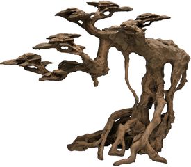 Labeo - D&eacute;coration 40 Piaozhi Bonsai Tree