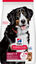 Hill's Science Plan - Adult Croquettes Pour Grand Chien A L'agneau Et Riz  - 12kg Indicateur image num&eacute;ro 2