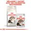 Royal Canin - Croquettes Ageing +12 pour Chat Senior - 2Kg Indicateur image num&eacute;ro 7