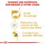 Royal Canin - Croquettes Maltese Adult Bichon Maltais pour Chiens - 1,5Kg Indicateur image numéro 4