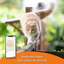 Weenect Cats 2 - Collier GPS Connecté pour Chat Indicateur image numéro 7