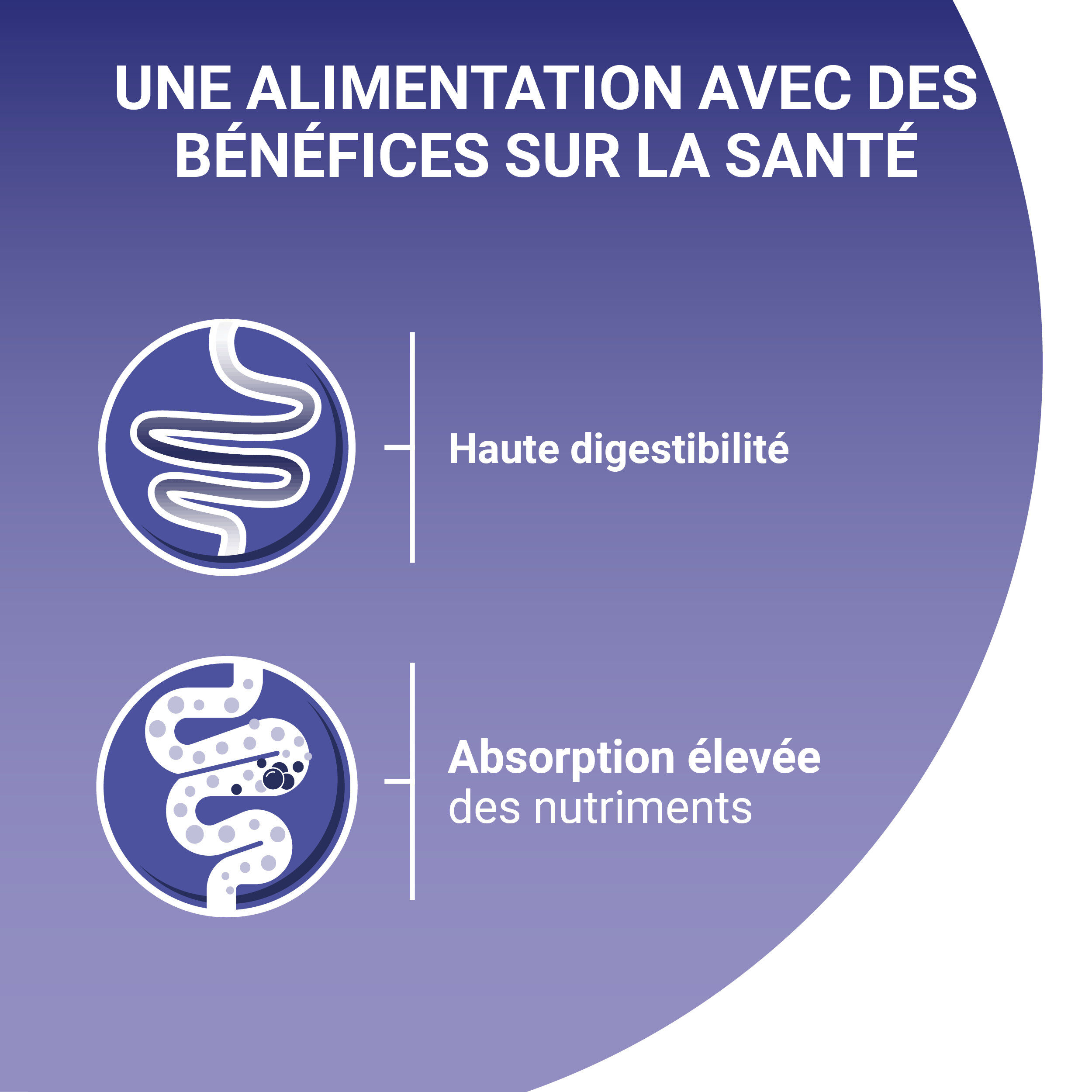 PURINA ONE - Sachets fra&icirc;cheurs Thon et Poulet pour Chats Sensibles - 4x85g Image num&eacute;ro 5