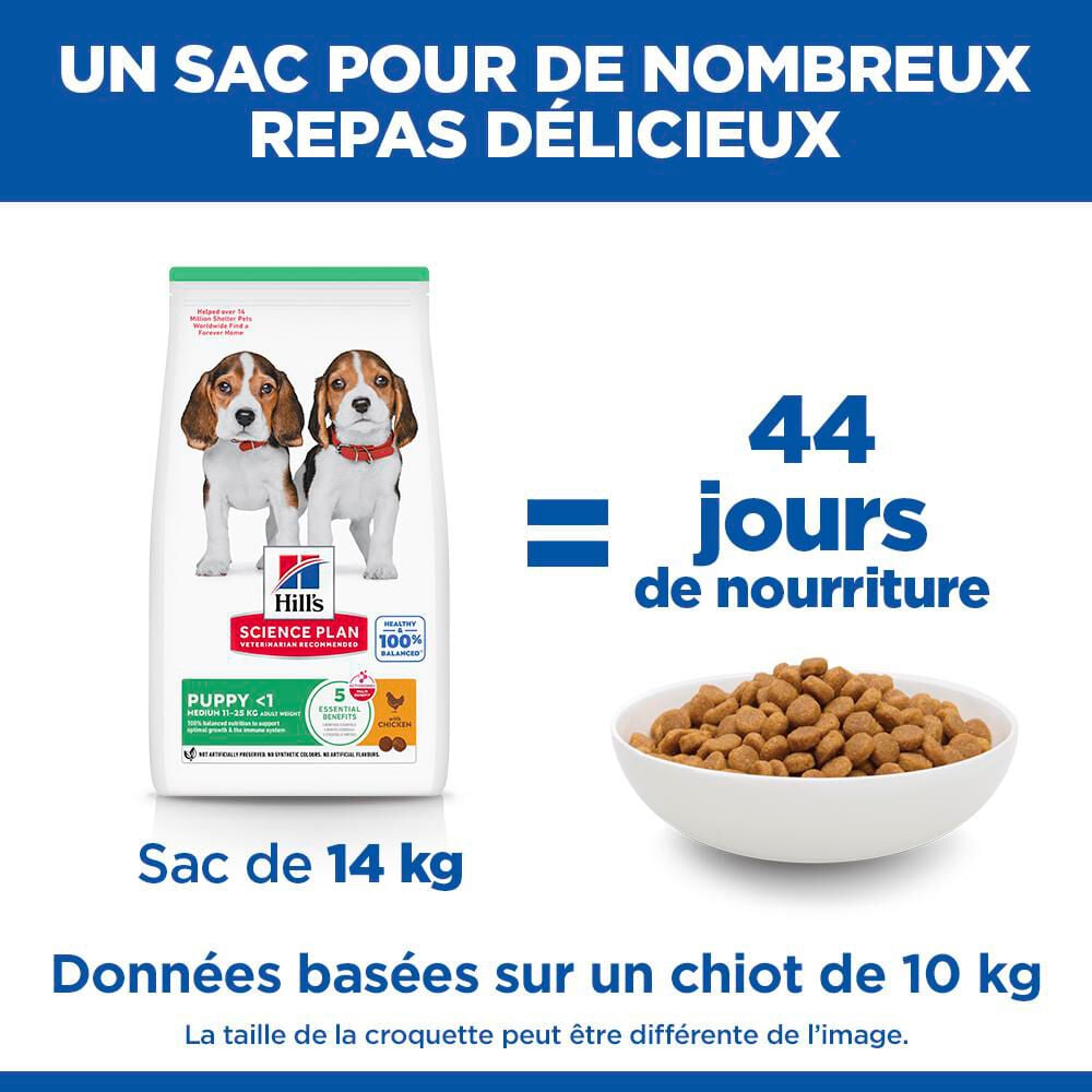 Hill's Science Plan - Puppy Croquettes Pour Chiot Au Poulet  -  2,5kg Image num&eacute;ro 14