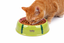 Leeby - Gamelle Design Past&egrave;que en C&eacute;ramique pour Chats - 150ml Indicateur image num&eacute;ro 1
