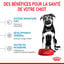 Royal Canin - Croquettes Maxi Puppy pour Chiot - 3Kg Indicateur image num&eacute;ro 3
