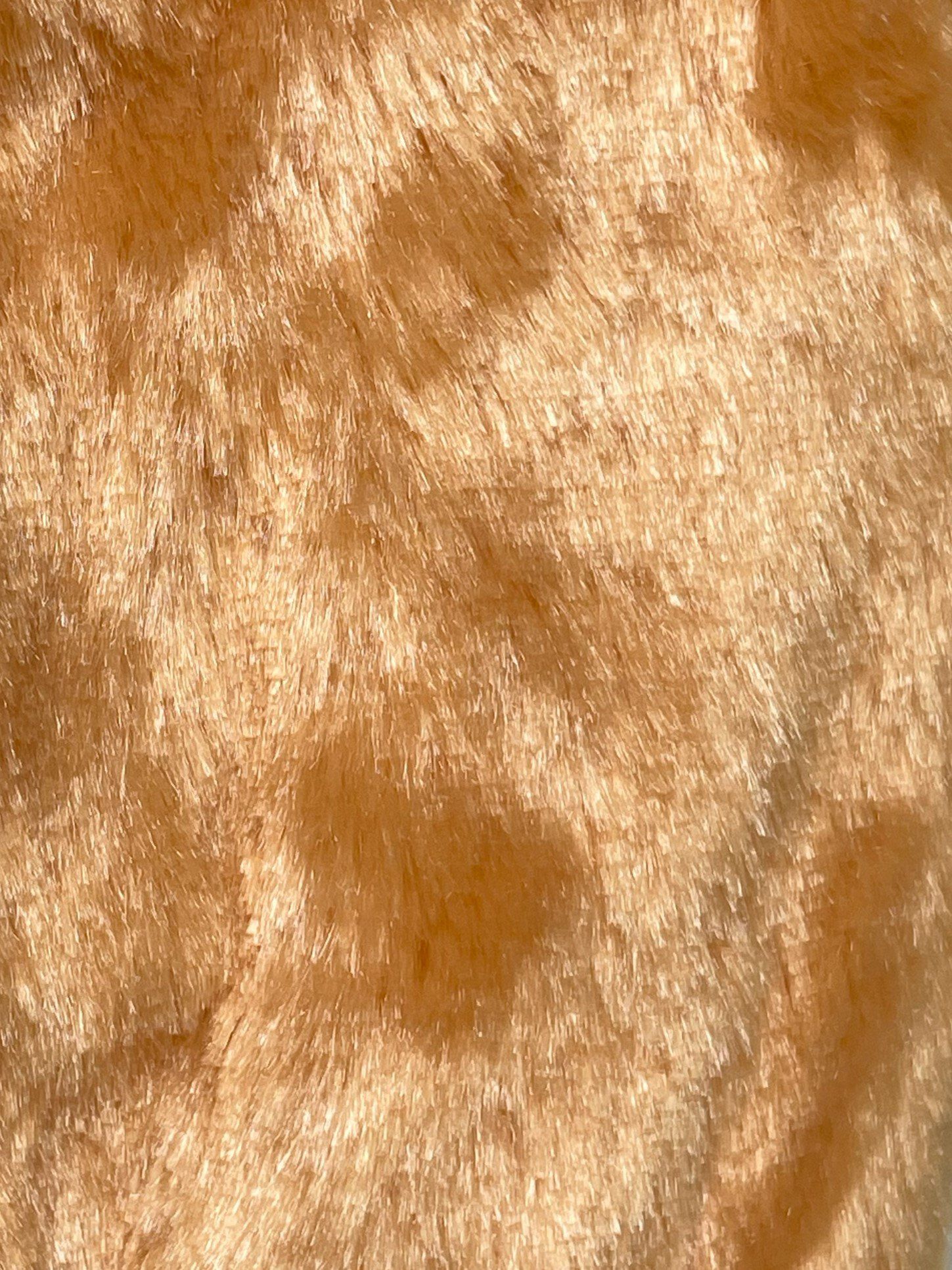 Tootoy! - Peluche Ecureuil Image num&eacute;ro 2