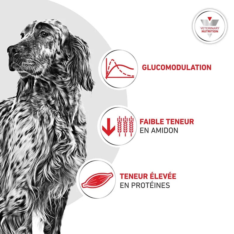 Royal Canin - Croquettes Veterinary Glycobalance Diabetic pour Chien - 12Kg Image num&eacute;ro 5