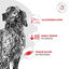 Royal Canin - Croquettes Veterinary Glycobalance Diabetic pour Chien - 12Kg Indicateur image num&eacute;ro 5