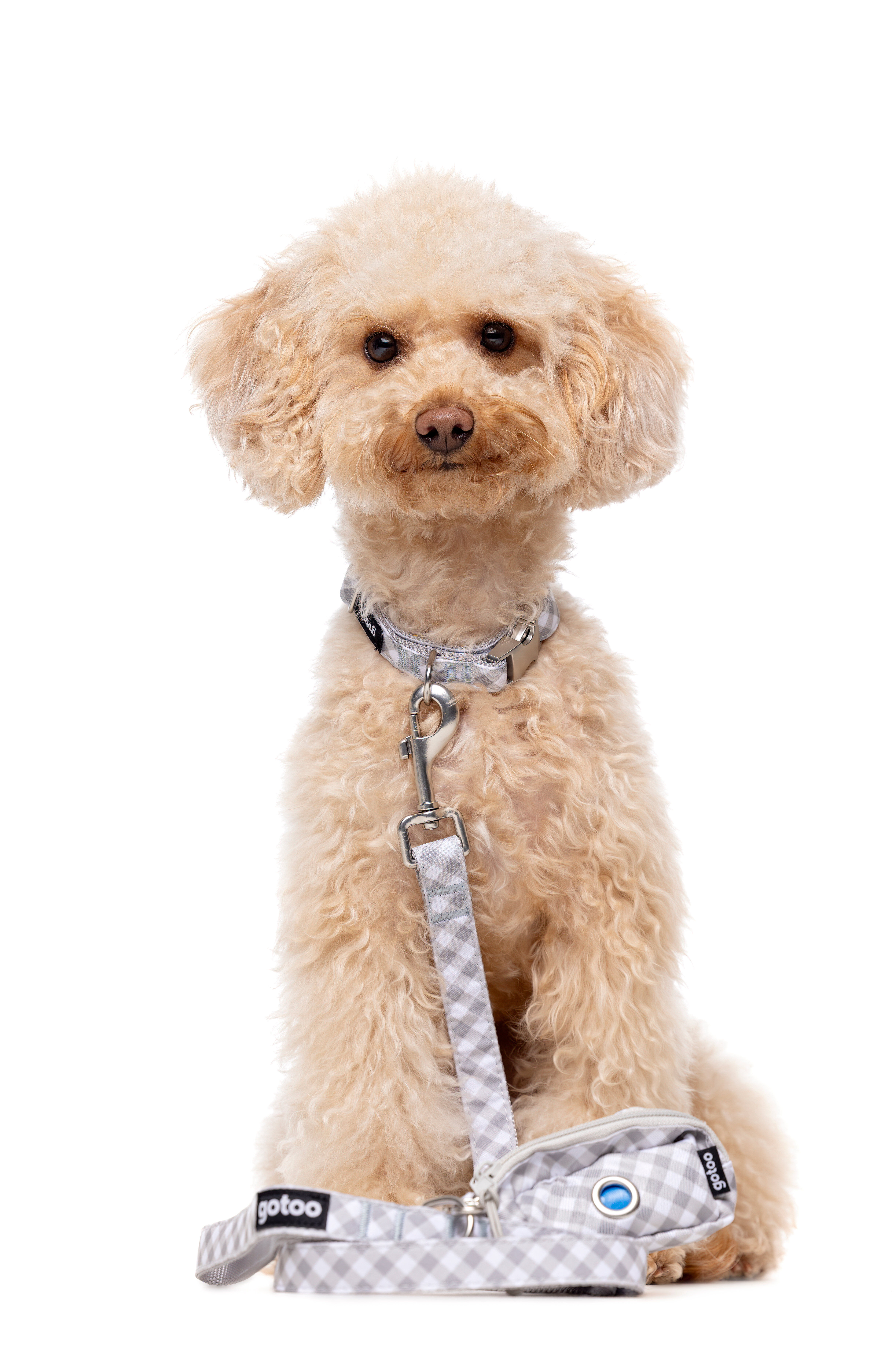 Gotoo - Sac &agrave; Sacs Vichy Gris pour Chien Image num&eacute;ro 3