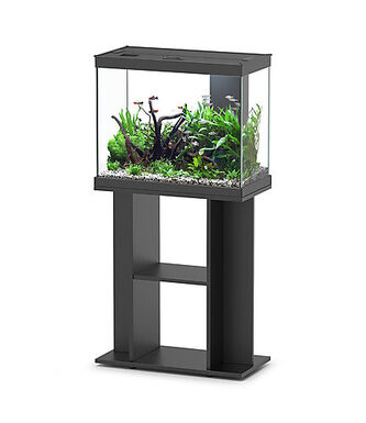 Aquadisio - Aquarium Alto 60cm - Noir