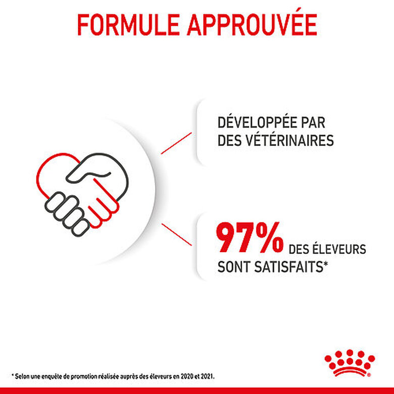 Royal Canin - Croquettes Starter Mother & Babydog Maxi - 4Kg Image numéro 7 Royal Canin - Croquettes Starter Mother & Babydog Maxi - 4Kg Image numéro 7