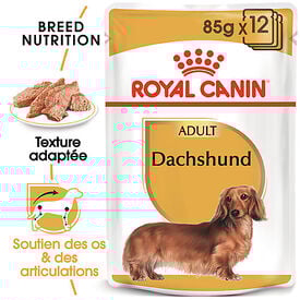 Royal Canin - Pâtée en mousse DACHSHUND ADULT pour Chiens - 12X85G